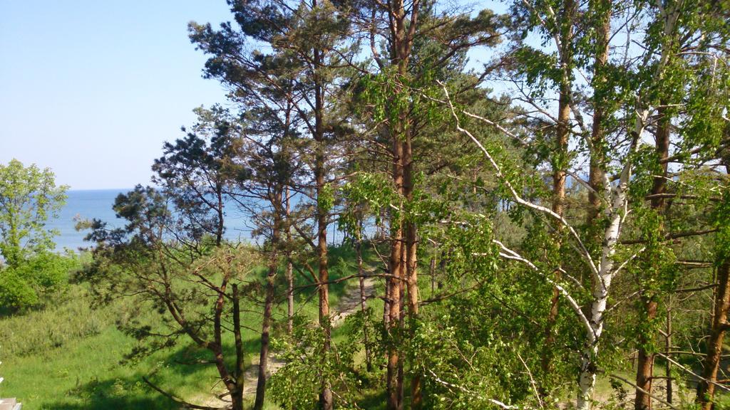 Апартаменти Porta Mare Luxview *
